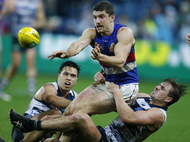 tom liberatore